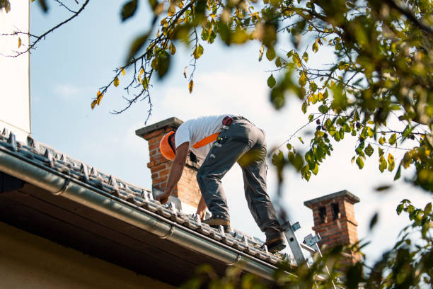 Best Sealant for Roof  in Delphi, IN